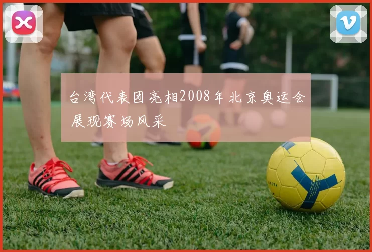 台湾代表团亮相2008年北京奥运会 展现赛场风采