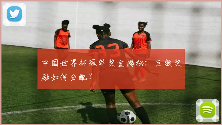 中国世界杯冠军奖金揭秘:巨额奖励如何分配?