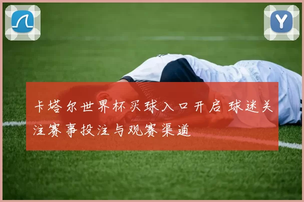 卡塔尔世界杯买球入口开启 球迷关注赛事投注与观赛渠道