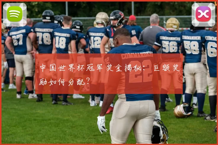 中国世界杯冠军奖金揭秘:巨额奖励如何分配?